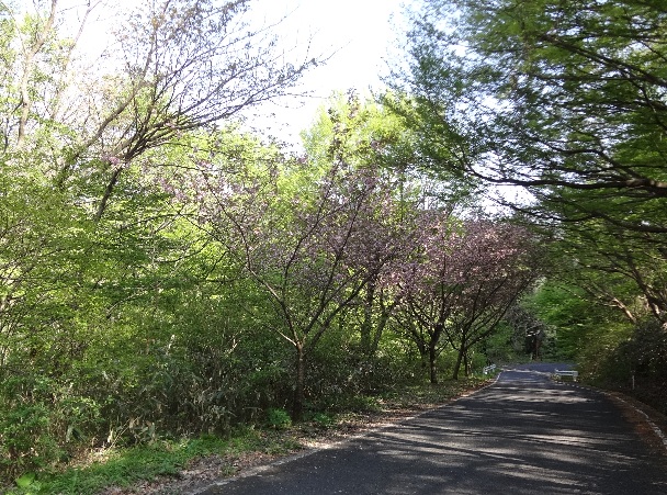 b0149340_2145127.jpg