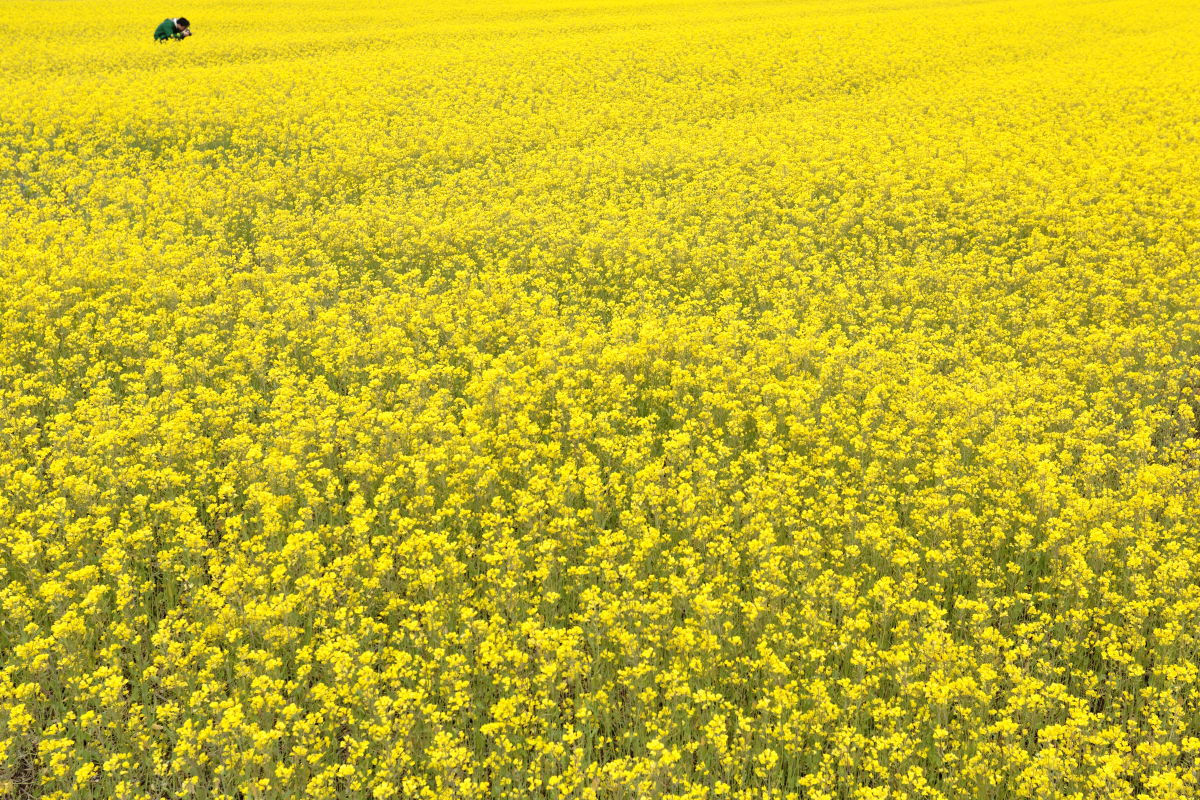 d0135242_17472911.jpg