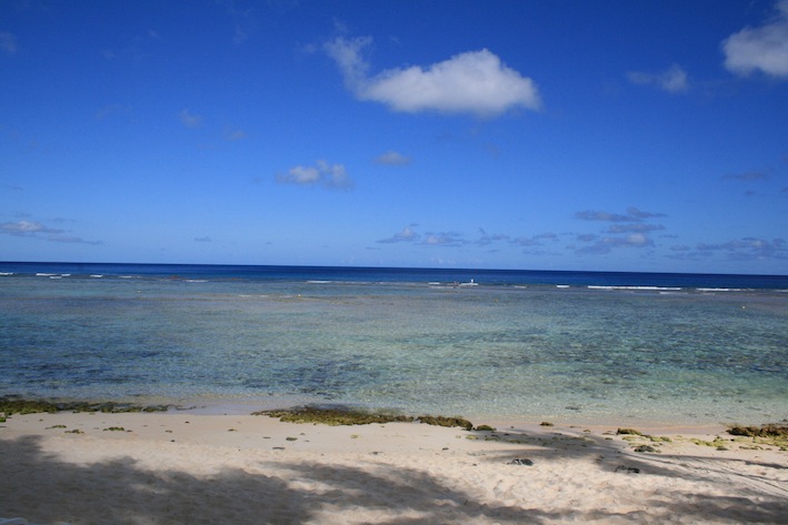 a0044046_15401816.jpg
