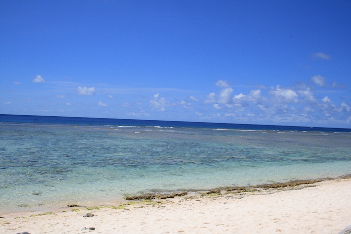 a0044046_15434925.jpg