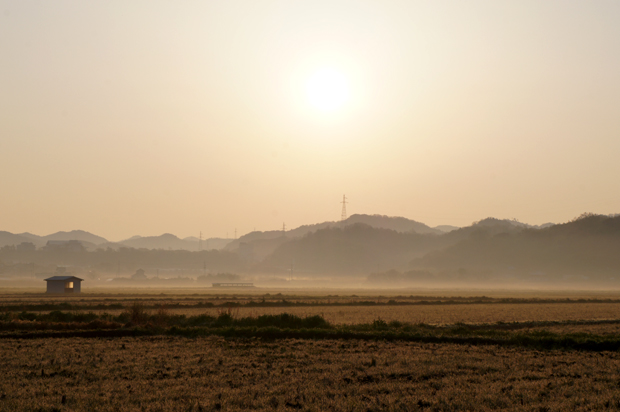 f0214649_4353429.jpg
