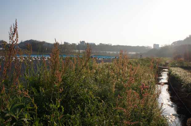 f0214649_4482387.jpg