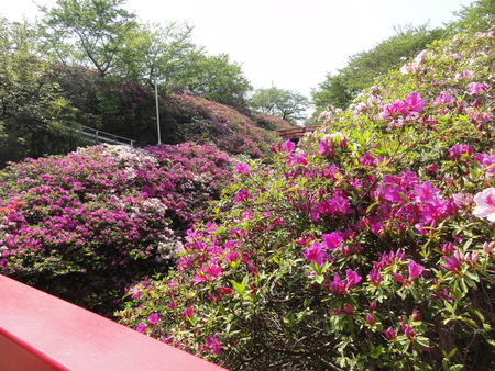 c0108460_14162287.jpg