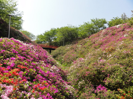 c0108460_1416237.jpg