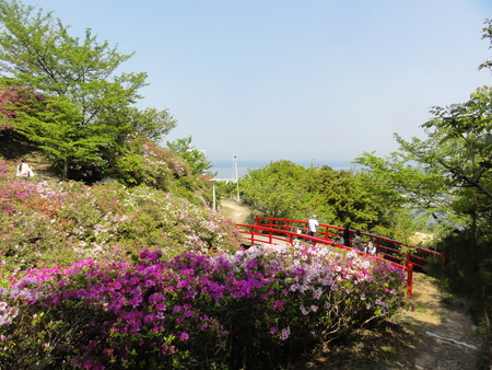 c0108460_1417452.jpg