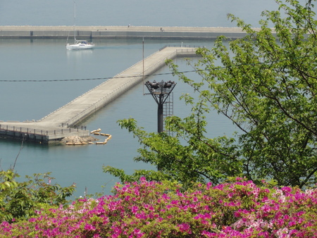 c0108460_1545840.jpg
