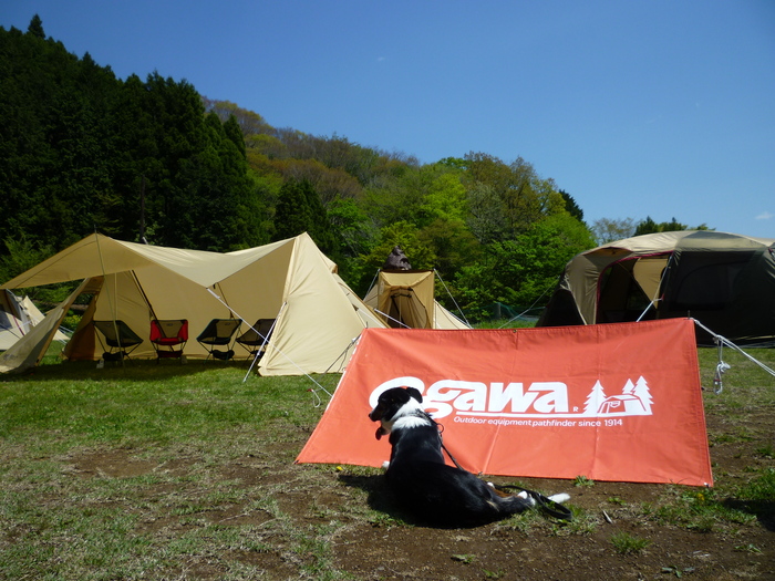 d0093462_14404041.jpg