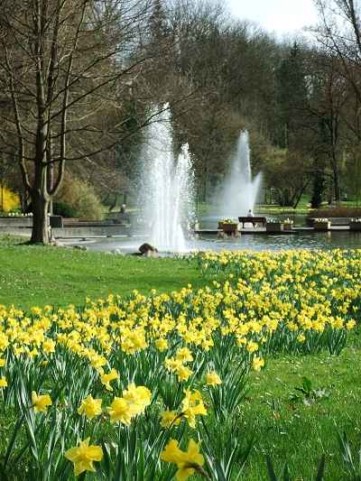 f0097363_4121767.jpg