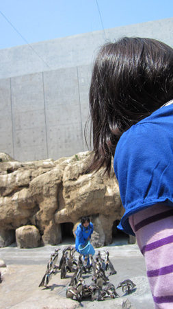 d0034765_21531584.jpg
