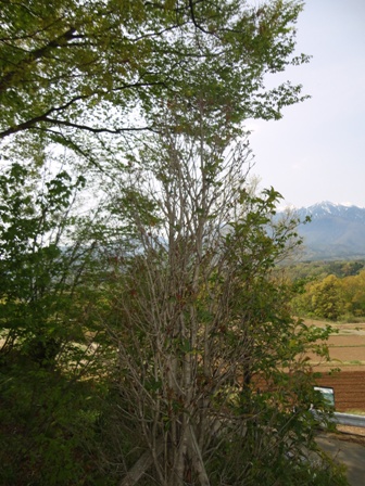 d0152765_2273059.jpg