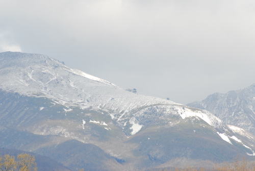 e0151566_21491826.jpg