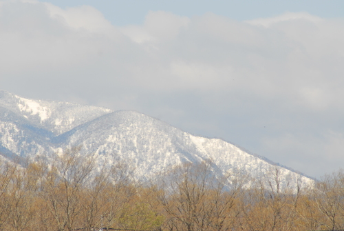 e0151566_21501569.jpg