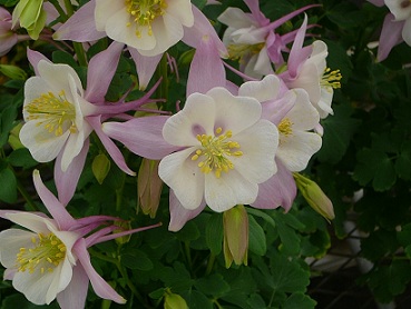 a0267370_20532630.jpg