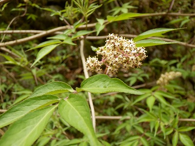 f0057070_19455178.jpg