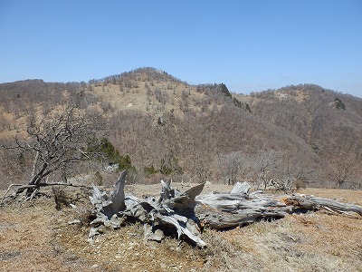 f0057070_19463760.jpg