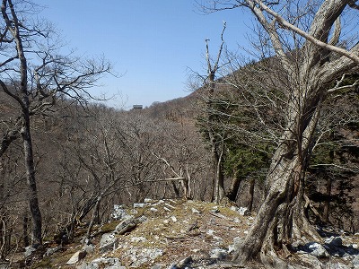 f0057070_19465033.jpg