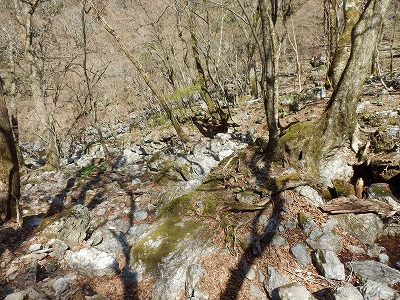 f0057070_19471689.jpg