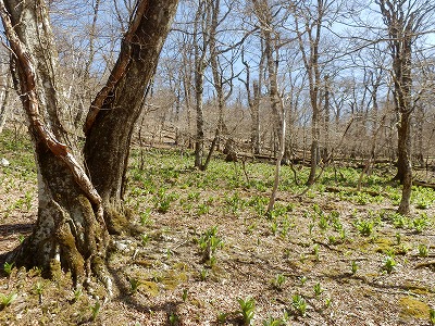 f0057070_19475257.jpg