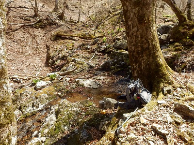 f0057070_1947611.jpg