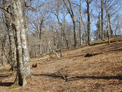 f0057070_19483161.jpg