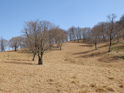 f0057070_1948427.jpg