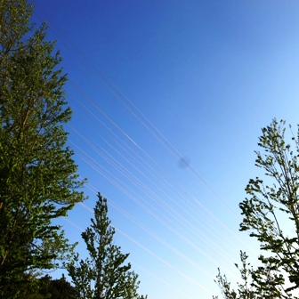 c0108673_21432049.jpg
