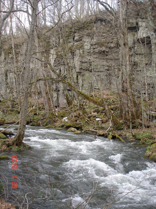 d0165378_9125618.jpg