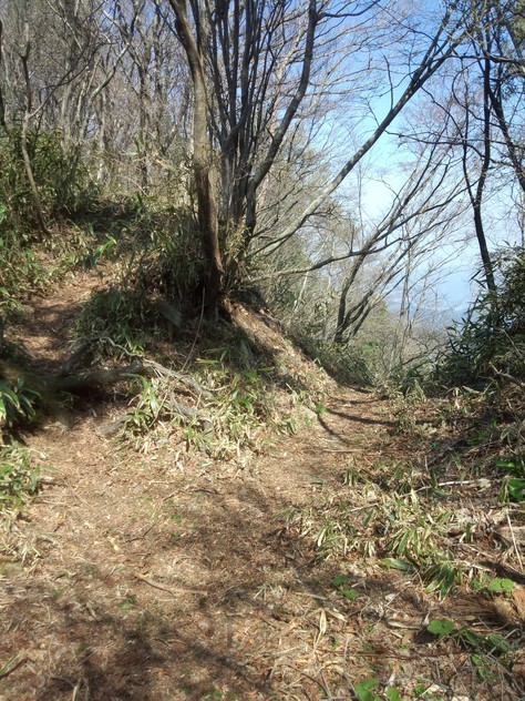 f0064278_6492698.jpg