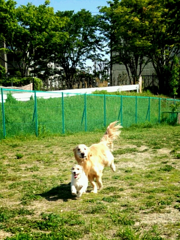 f0230380_14102843.jpg