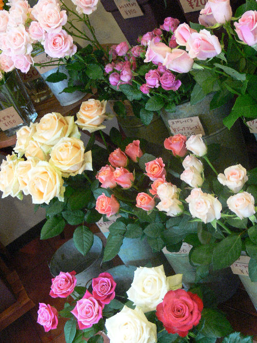 e0140986_1650079.jpg