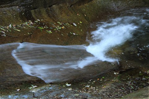 a0222494_10141840.jpg