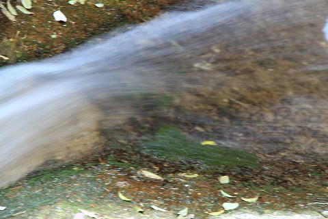 a0222494_17434337.jpg