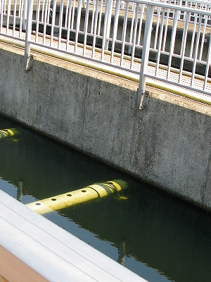 f0181394_183542.jpg