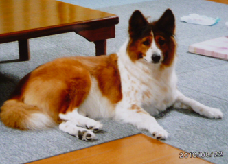 d0282395_22484100.png