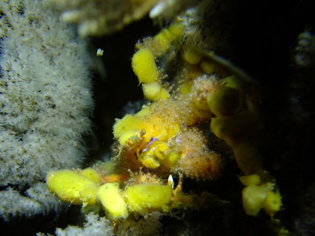 f0053895_15491676.jpg