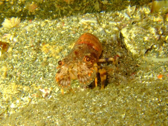 f0053895_1550972.jpg