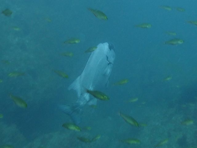 f0053895_15515359.jpg
