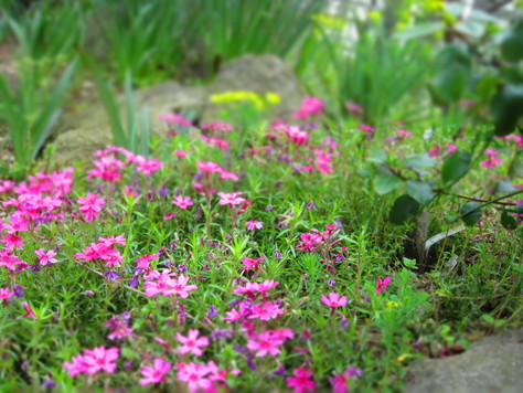 f0013998_16251569.jpg