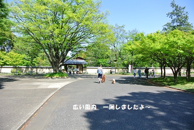 a0134004_0105330.jpg