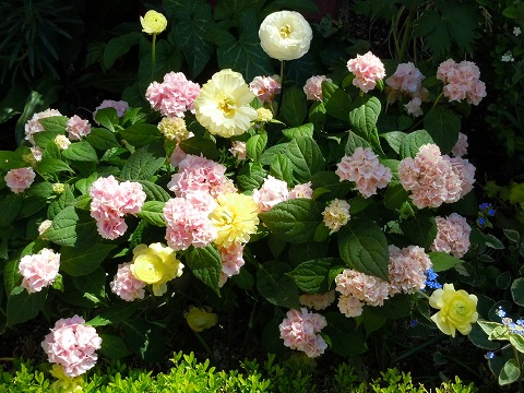 c0117007_20113016.jpg