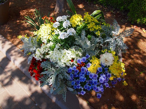 c0117007_20141146.jpg
