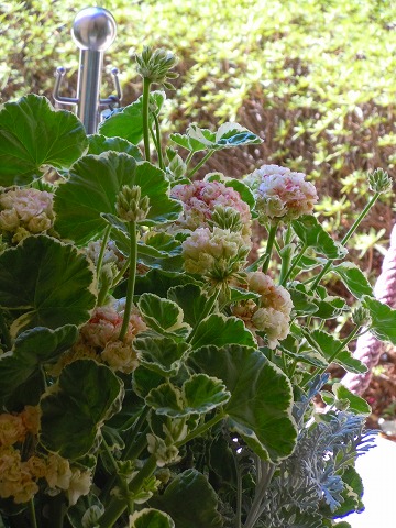 c0117007_20152660.jpg