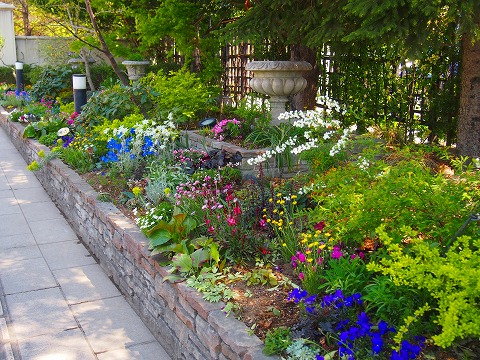 c0117007_202235.jpg