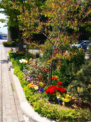 c0117007_2049100.jpg
