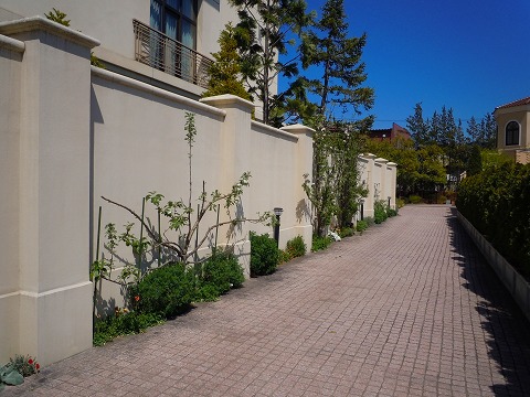 c0117007_2071211.jpg