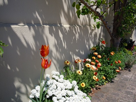 c0117007_2081248.jpg