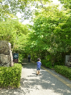 b0223711_10304498.jpg