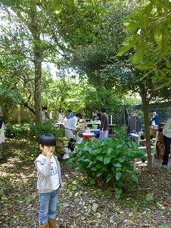 b0223711_958386.jpg
