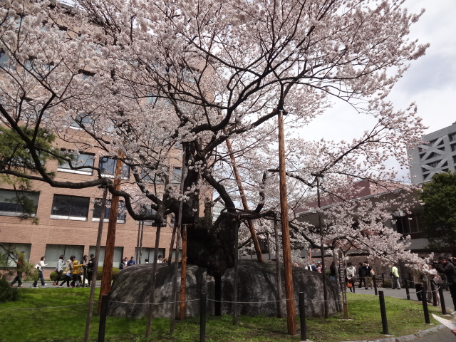 c0279611_19414699.jpg