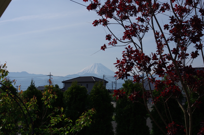 f0195813_2154692.jpg